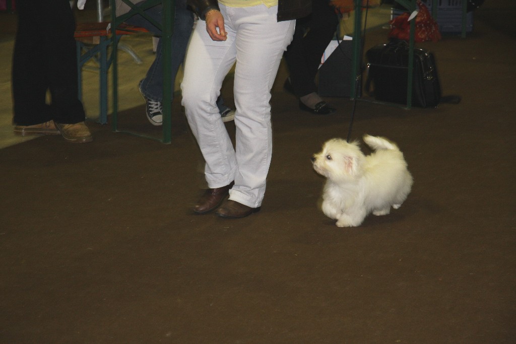 Emma Peel en classe Baby au Luxembourg
